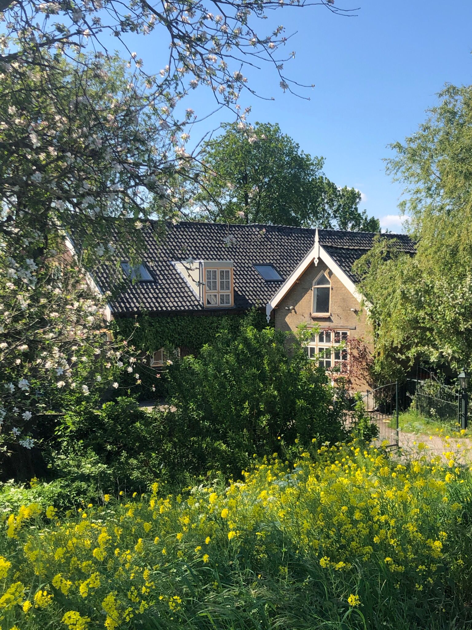 location for personal coaching and retreat in the Green Heart of Holland