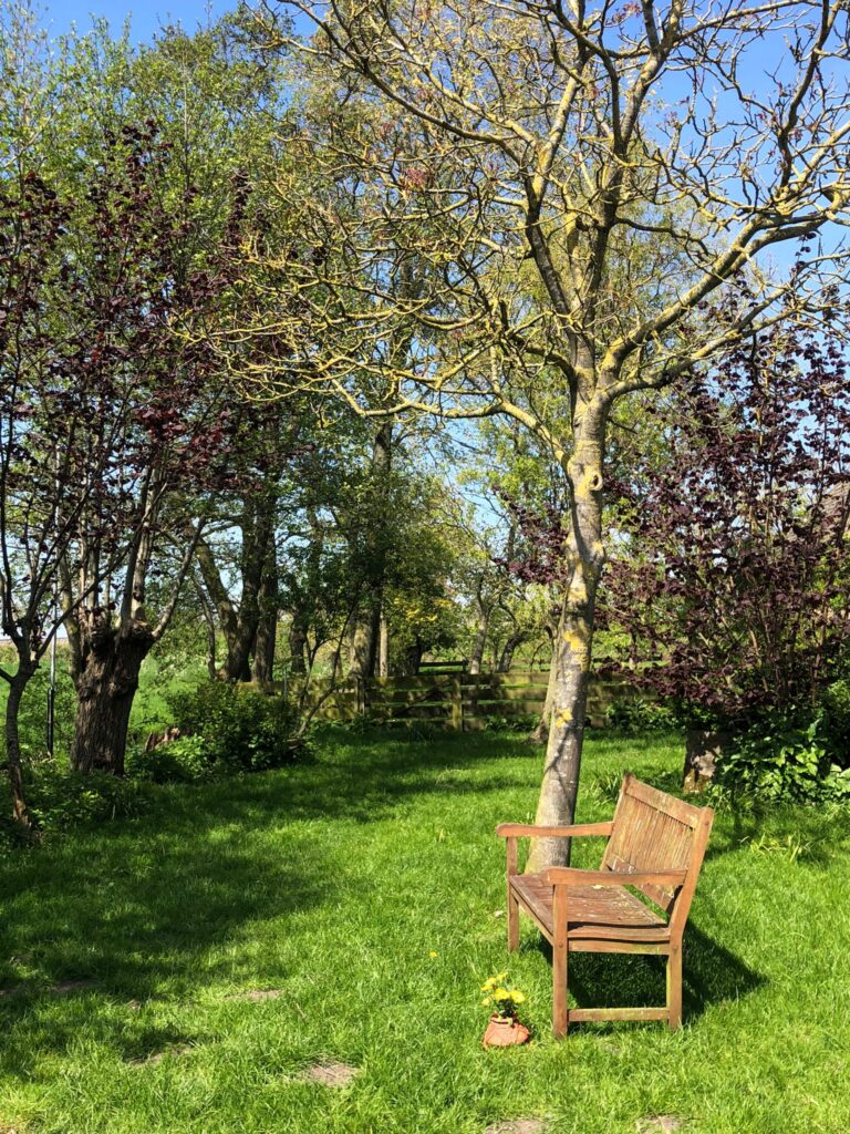 relaxing during coaching retreat in nature